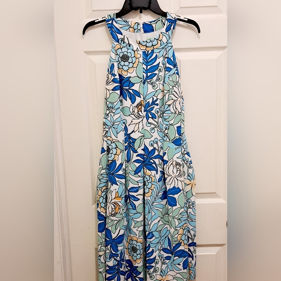 Floral Sleeveless Maxi Dress - Blue and White - Picture 1 of 9